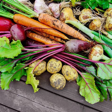 Reif Für Die Ernte: Tipps, Wenn Sie Gemüse Ernten Sollten